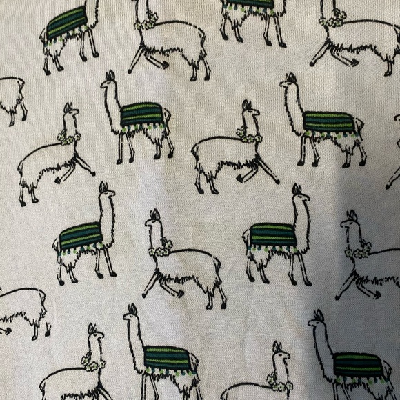 Ann Taylor Factory Llamas Sweater - Picture 2 of 2